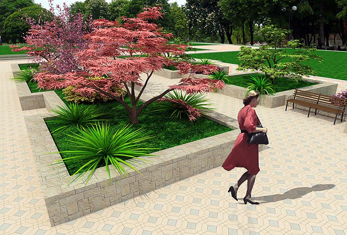 Красный японский клен и миндаль - цветовые акценты в озеленении городского парка