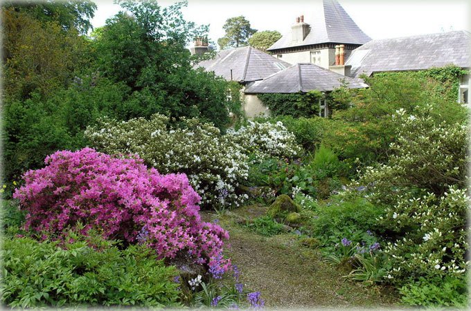 Цветущие кустарники в английском саду