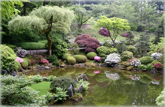 Озеро в японском саду