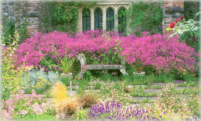 Садовая скамейка среди цветущих кустарников