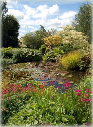 Озеро в экосаду  Glen Chantry Garden (Англия)