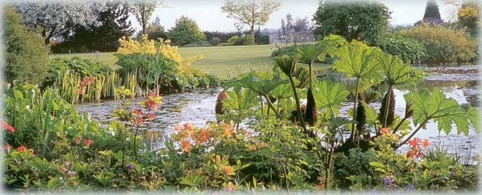 Многоплановость композиции подчеркивает садовый пруд
